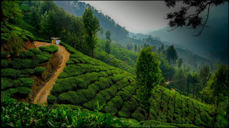 Kerala